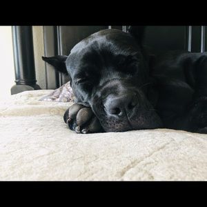 Meet your Posher, Mel